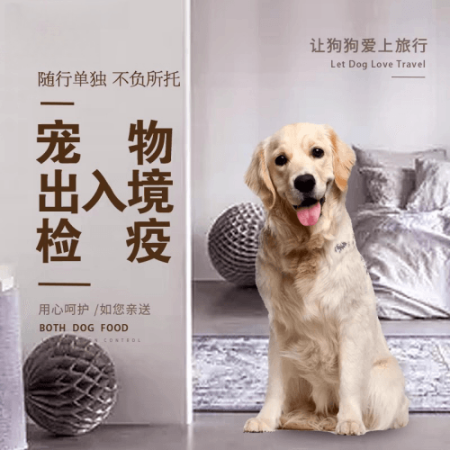 承德市宠物托运到哥伦比亚猫狗宠物入境规定和