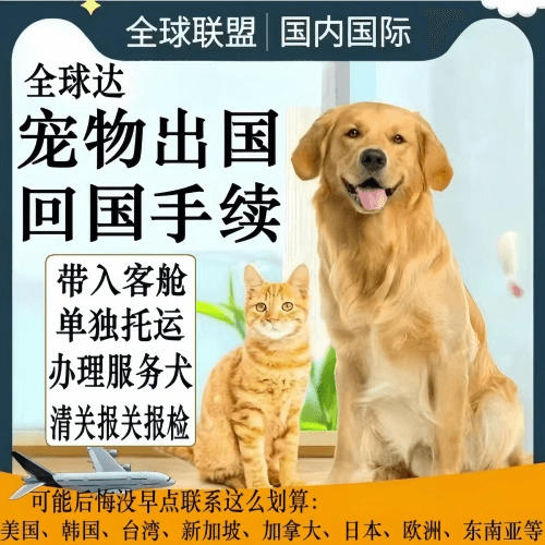 承德市宠物托运到柬埔寨宠物入境规定和要求
