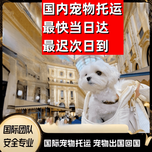 承德市到澳大利亚（澳洲）宠物入境规定和要求
