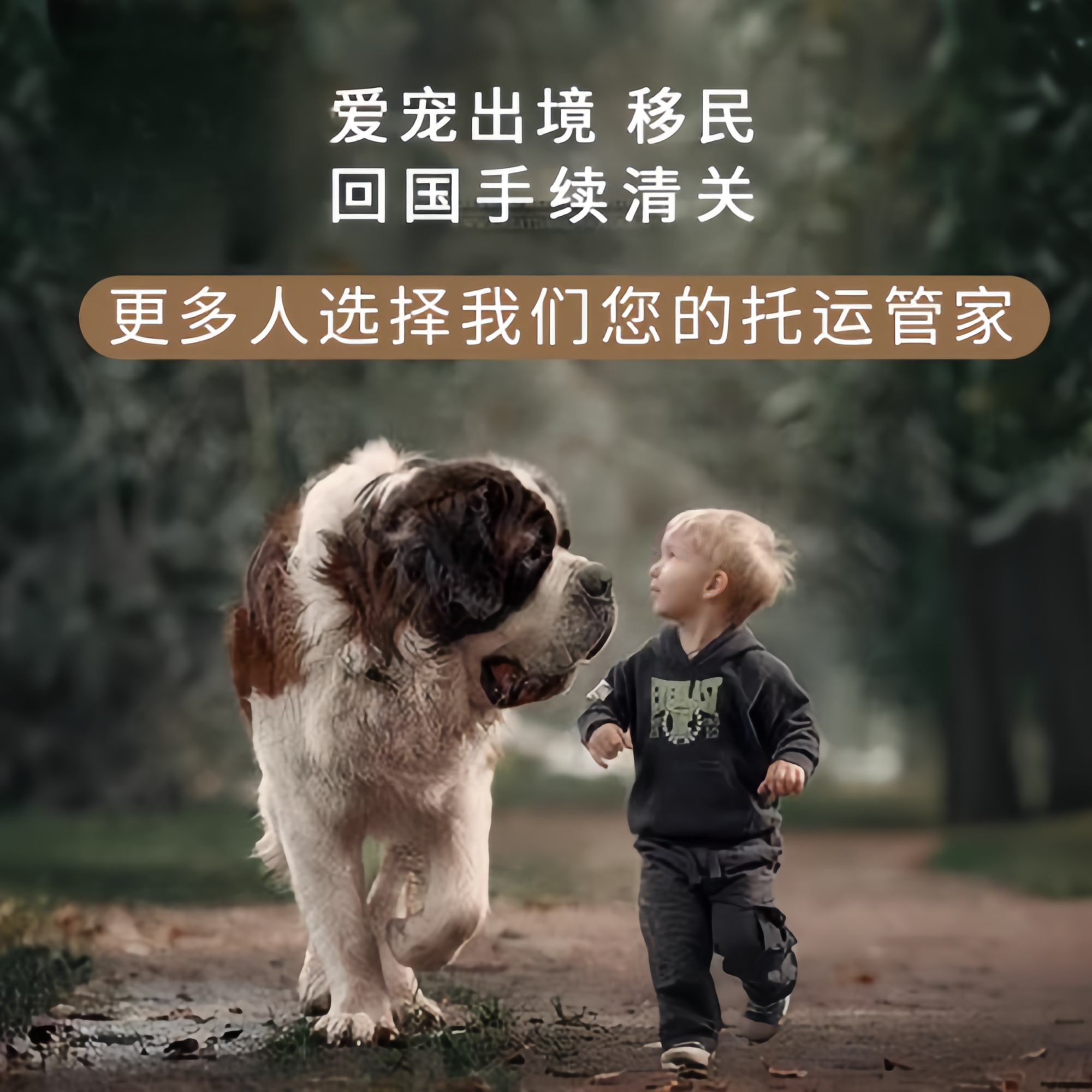 满财承德市宠物全球达宠物托运在遵守入境目的地政策的条件