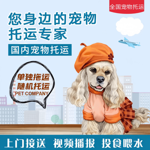满财承德市宠物全球达宠物托运作为专业的宠物运输代理机构